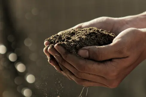 L'agricoltura consapevole, gestita con attrezzature di precisione, è sovvenzionata con i fondi del Pnrr. Le domande possono essere presentate a partire dal 1° febbraio 2024. Il bando è particolarmente interessante per i giovani agricoltori. (Foto: unsplash)