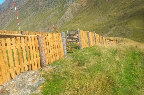Recinzione per radunare le pecore prima della discesa dalla Ötztal alla val Senales: nel 2026 questa recinzione è stata completamente rinnovata a Rofenberg e parzialmente a Niedertal. (Foto: USP/Manuel Gurschler)