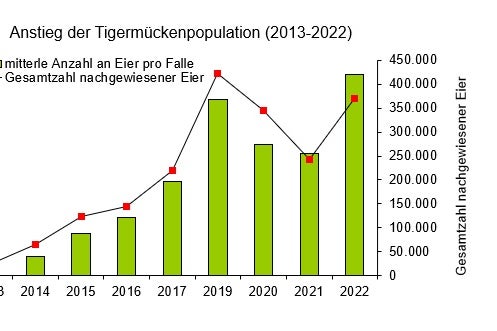 Vergleich der durchschnittlichen Anzahl von Tigermückeneiern im Zeitraum 2013-2022 (Quelle: Landesagentur für Umwelt und Klimaschutz, 2023)