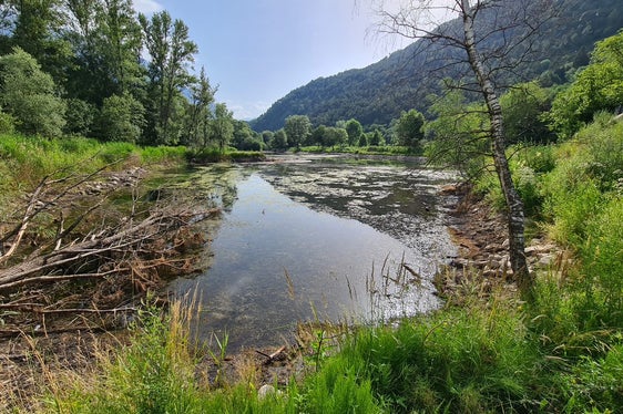 I Bacini montani stanno attualmente riempiendo il Laghetto di Rablà con materiale pulito per continuare la rimozione della pianta aliena Elodea nuttallii (Foto: ASP/Ufficio sistemazione bacini montani Ovest dell'Agenzia per la Protezione civile)