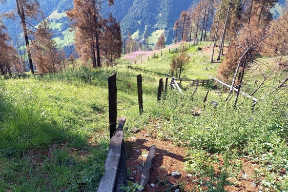 La recinzione del pascolo bruciata è attualmente in fase di ripristino. (Foto: USP/Ispettorato forestale di Silandro)