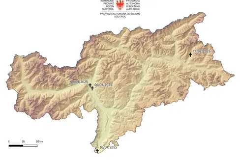 In Alto Adige, dall'inizio di quest'anno sono stati recuperati quattro lupi morti in seguito ad uno scontro con un'auto. I luoghi di ritrovamento sono contrassegnati da crocette. (Foto: USP/Ufficio provinciale Gestione fauna selvatica)