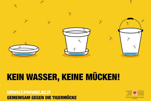 Zanzare? Svuota tutto! È lo slogan con cui l’Agenzia provinciale dell'ambiente e la tutela del clima invita tutta la cittadinanza ad agire fin d’ora per prevenire la proliferazione di questo fastidioso insetto (Foto: Agenzia ambiente e tutela clima/FrabiatoFilm)