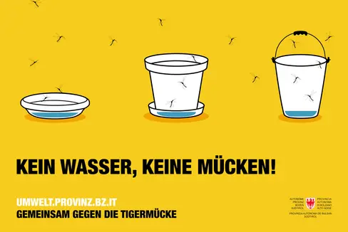 Kein Wasser, keine Mücken! Gemeinsam gegen die Tigermücke heißt die Vorsorge-Kampagne der Landesagentur für Umwelt und Klimaschutz, um die Verbreitung der Tigermücke in der warmen Jahreszeit in Grenzen zu halten. (Foto: LPA/Landesagentur für Umwelt und Klimaschutz/FrabiatoFilm)