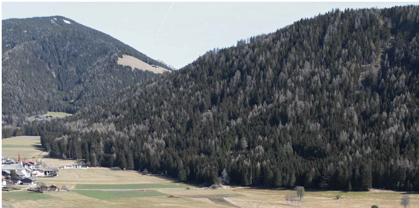 Bei der Abzweigung nach Antholz (Landesstraße LS44) soll ein neuer Kreisverkehr mit Bypässen sowie eine neue Fußgänger- und Fahrradunterführung verwirklicht werden. (Foto: LPA/Ressort für Infrastrukturen und Mobilität)