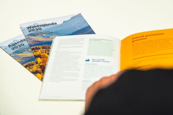 In beiden Landessprachen liegt die Waldagenda vor. Sie kann ab 3. April auch von den Landeswebseiten heruntergeladen werden. (Foto: LPA/Fabio Brucculeri)