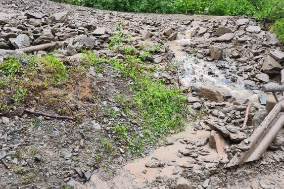Murgang auf der Straße von Vals in der Gemeinde Mühlbach Richtung Fanealm am 12. Juli (Foto: Landesamt für Wildbach- und Lawinenverbauung Nord in der Agentur für Bevölkerungsschutz)