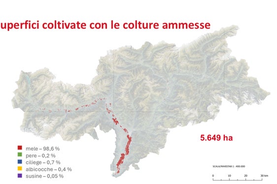 In queste aree è possibile installare impianti agrivoltaici: si tratta di coltivazioni di frutta situate nel fondovalle (massimo 75 metri al di sopra dell'Adige o dell'Isarco). (Foto: USP)