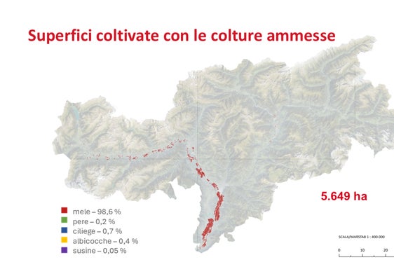 In queste aree è possibile installare impianti agrivoltaici: si tratta di coltivazioni di frutta situate nel fondovalle (massimo 75 metri al di sopra dell'Adige o dell'Isarco). (Foto: USP)