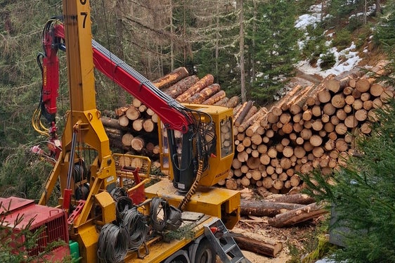 Macchinario con dispositivo a fune sul Monte Fondoli a Villandro. (Foto: USP/Azienda forestale dell'Agenzia Demanio provinciale)