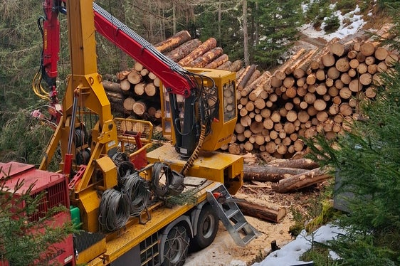 Macchinario con dispositivo a fune sul Monte Fondoli a Villandro. (Foto: USP/Azienda forestale dell'Agenzia Demanio provinciale)