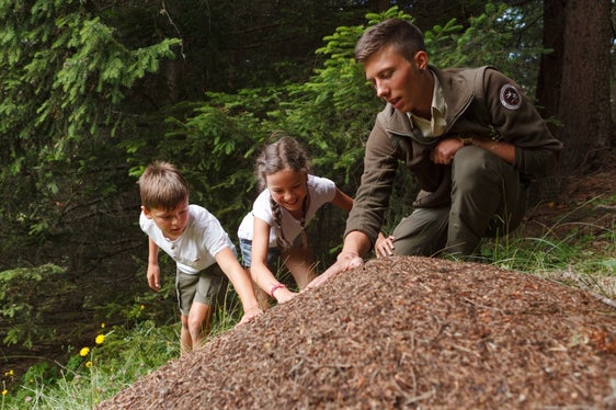 In den Naturparkhäusern gibt eine große Anzahl an Veranstaltungen für Kinder. Im Bild die Dolomiti-Ranger-Tage, die wöchentlich in den Naturparks Drei Zinnen, Fanes-Sennes-Prags, Puez-Geisler und Schlern-Rosengarten stattfinden. (Foto: IDM Südtirol, Wild Zoo Entertainment)