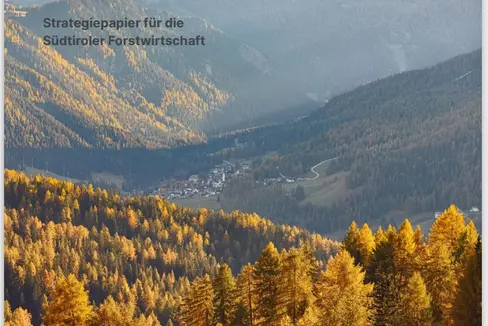 Sieben strategische Handlungsfelder für die nächsten sieben Jahre: Die Verantwortlichen haben die Situation nach Vaia, Schneedruck und Borkenkäferbefall in den Wäldern analysiert und einige Strategien festgeschrieben, um Nachhaltigkeit im Wald zu erreichen. Am 30. März wird die Waldagenda vorgestellt. (Foto: LPA)