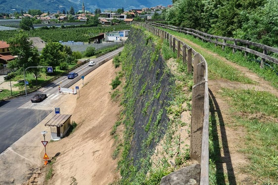 LUfficio sistemazione bacini montani Sud ha ristrutturato la diga paramassi di 20 anni sopra la statale Bolzano-Merano a sud di Gargazzone. (Foto: ASP/Ufficio sistemazione bacini montani Sud)