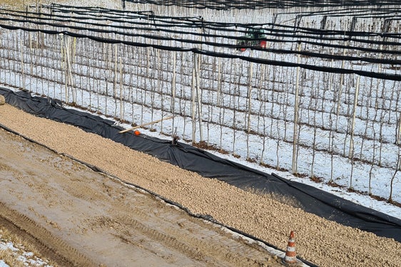 Das Amt für Wildbachverbauung Süd in der Agentur für Bevölkerungsschutz hat den Damm auf der orografisch linken Seite der Etsch in den Gemeinden Auer und Pfatten verstärkt. Die durchgeführten Maßnahmen umfassen den Bau eines Filterkörpers aus Schotter, damit wurde die Gefahr der Unterströmung beziehungsweise Untersickerung verringert und die Stabilität des Dammes bei Hochwasserereignissen erhöht. (Foto: LPA/Amt für Wildbachverbauung Süd in der Agentur für Bevölkerungsschutz)
