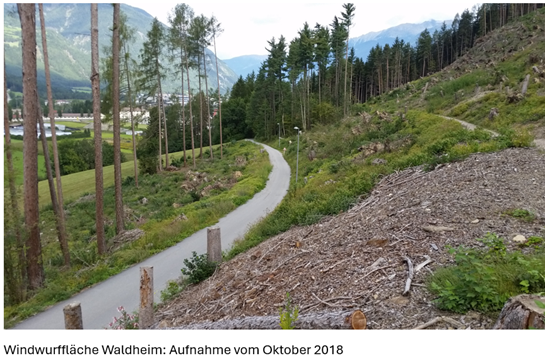 La Cassa Raiffeisen Brunico sostiene con 10.000 euro il progetto Waldheim attraverso il Fondo forestale. (Foto: USP/Stazione forestale di Brunico)