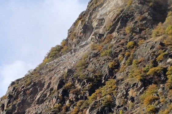 Nachher: Die Sprengung von 1500 Kubikmeter Material ist erfolgreich verlaufen. (Foto: LPA/Landesamt für Geologie und Baustoffprüfung)