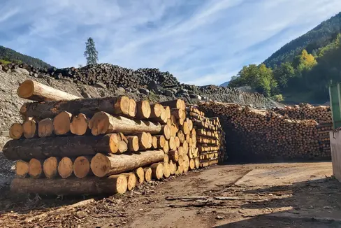 Verranno promosse le costruzioni realizzate con legno proveniente per la maggior parte da un raggio di 500 chilometri. Oggi (13 giugno) la Giunta provinciale ha dato il via libera al fondo per le costruzioni in legno. (Foto: ASP/uli)