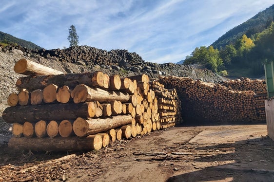 Bauen mit Holz, das zum Großteil in einem Umkreis von 500 Kilometern gewachsen ist, wird gefördert. Heute (13. Juni) hat die Landesregierung Grünes Licht für den Holzbaufonds gegeben. (Foto: LPA/uli)