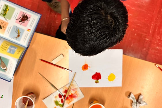 Mit einem abwechslungsreichen Sprachprogramm schaffen die Sprachenzentren in den Sommerkursen wichtige Voraussetzungen für schulisches Lernen und erfolgreiche Teilhabe. (Foto: LPA/Pädagogische Abteilung/Deutsche Bildungsdirektion/Landesamt für Beratung/Fabio Casati)