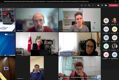 In einer gemeinsamen Videokonferenz von Koordinierungstisch und Fachbeirat wurde unter anderem über die anstehenden Arbeitsschwerpunkte diskutiert. (Foto: LPA)