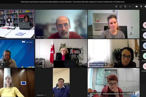 In einer gemeinsamen Videokonferenz von Koordinierungstisch und Fachbeirat wurde unter anderem über die anstehenden Arbeitsschwerpunkte diskutiert. (Foto: LPA)