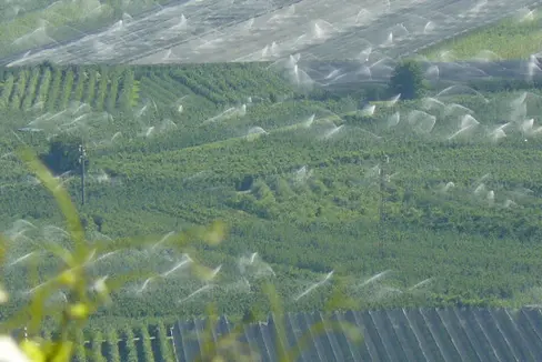 Un'immagine del sistema di irrigazione di grandi superfici in Alto Adige (Foto: ASP/Ufficio Gestione sostenibile delle risorse idriche)