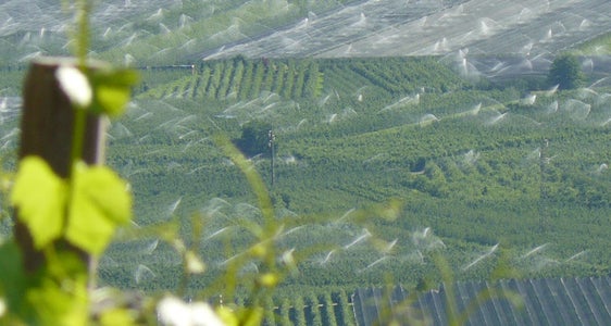 Bewässerung von landwirtschaftlichen Flächen (Foto: LPA/Landesamt für nachhaltige Gewässernutzung)