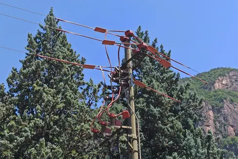 An der Stromleitung Erika in Moritzing/Bozen wurden die Gefahrenstellen für den heimischen Uhu durch eine neue Isolierung minimiert. (Foto: LPA/Amt für Natur)