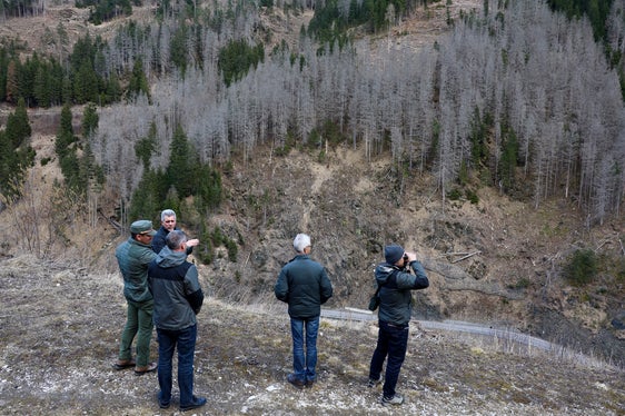 L'assessore alle Foreste Luis Walcher (nella foto 3° da sinistra) durante il sopralluogo nei boschi della Val Badia. (Foto: USP/Dipartimento agricoltura, foreste e turismo/Sabine Pitscheider)