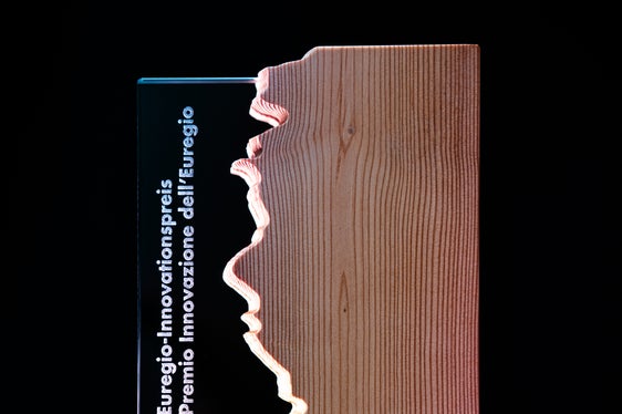 Für den Euregio-Innovationspreis haben 25 Unternehmen sowie Innovatorinnen und Innovatoren ihre Projekte eingereicht. (Foto: Euregio)