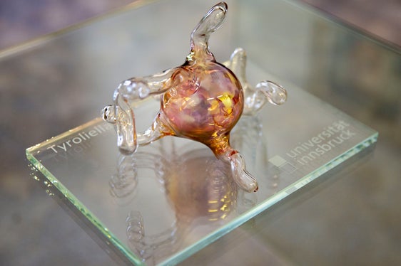 Die Sporen der neu entdeckten Pilzart namens Tyroliella in Form eines Glaskunstwerks (Foto: LPA/Fabio Brucculeri)