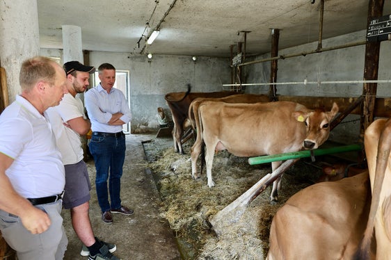 Wie schaut es mit der Milch aus: Landwirtschaftslandesrat Luis Walcher (rechts) hat mit Brimi-Obmann Klaus Faller (links) den Milchviehbetrieb besichtigt, den Benjamin Lamprecht (Mitte) in Schalders bewirtschaftet. (Foto: LPA/Ressort Landwirtschaft, Forstwirtschaft und Tourismus/Sabine Pitscheider)