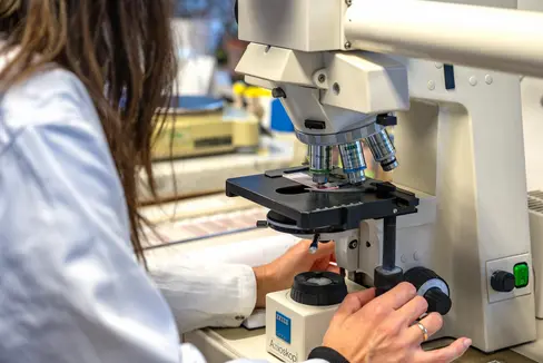 La Provincia autonoma di Bolzano sostiene la mobilità in entrata e in uscita di ricercatori e ricercatrici. Il nono bando è aperto fino al 12 giugno. (Foto: USP/Greta Stuefer)