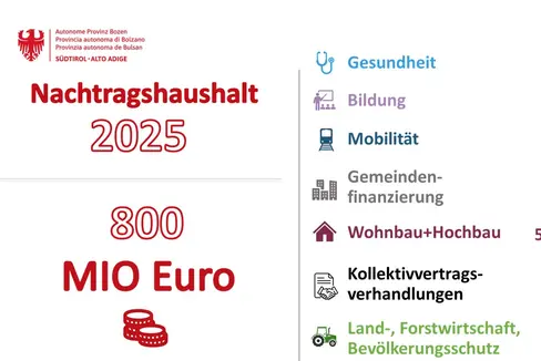 Über den Nachtragshaushalt werden insgesamt 800 Millionen Euro auf unterschiedliche Bereiche aufgeteilt. (Infografik: LPA)