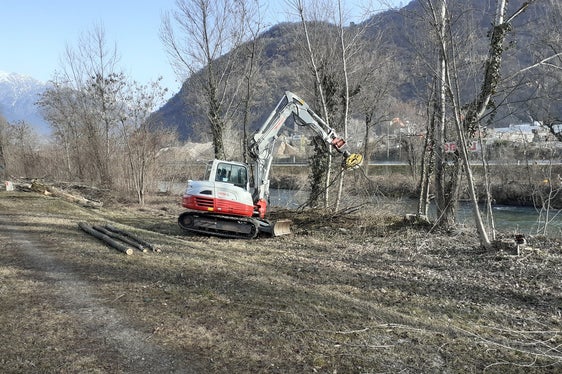 Das Landesamt für Wildbachverbauung Süd beginnt in der kommenden Woche mit Uferpflegearbeiten an der Etsch und ihren Seitenbächen im Abschnitt zwischen Meran und Salurn. (Foto: LPA/Amt für Wildbach- und Lawinenverbauung Süd)