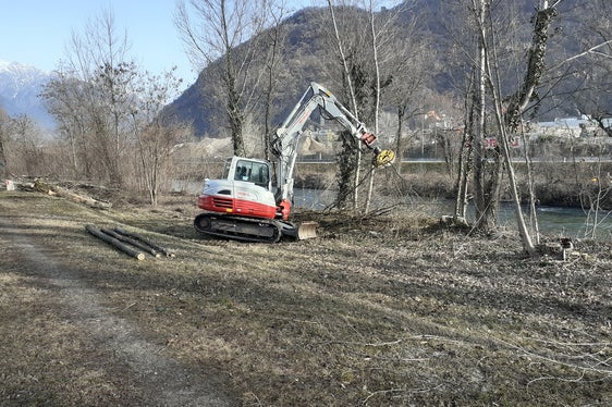 L'Ufficio sistemazione bacini montani Sud avvierà la prossima settimana i lavori di manutenzione delle rive dell'Adige e dei suoi affluenti tra Merano e Salorno (Foto: ASP/Ufficio sistemazione bacini montani Sud)