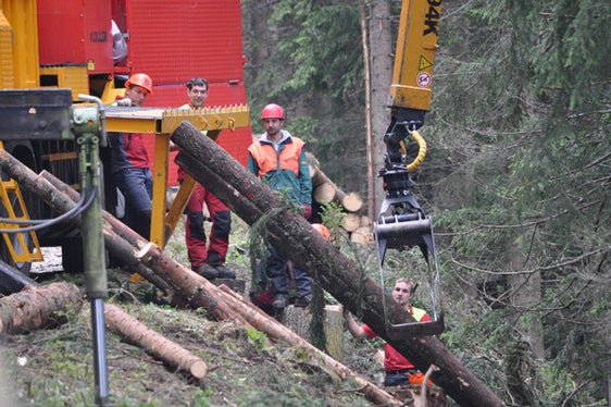 Archivbild eines Waldarbeiterkurses: Die Vertreter der Länder tauschten sich auch über die Bildungsoffensive aus. (Foto: LPA)