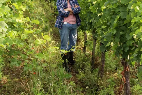 Südtirols erste geprüfte Winzerin Lucrezia Schmid im Weinberg in Margreid (Foto: LPA/Weingut Alois Lageder)