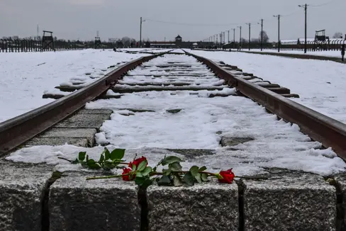 Jugendliche der Negrelli-Schule in Meran haben die Ausstellung Die Gerechten unter den Völkern geschaffen, die am Holocaust-Gedenktag, am 27. Jänner, im Kulturzentrum in Meran eröffnet wird. (Foto: LPA/Pexels. Das Foto darf nur in Zusammenhang mit dieser Pressemitteilung verwendet werden.)