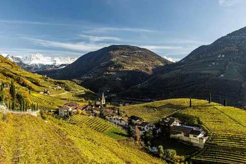 Obst- und Weinbau und Viehzucht wird auf 13.000 sogenannten Geschlossenen Höfen in Südtirol betrieben. Die heute ernannten örtlichen Höfekommissionen haben in diesem Bereich mehrere wichtige Zuständigkeiten. (Foto: IDM/Tiberio Sorvillo)