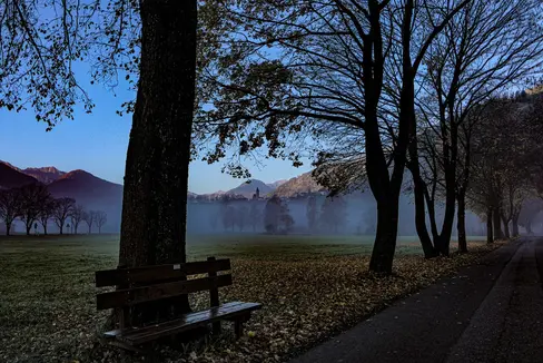 Bilder dieses Monats Oktober: In den klaren, langen Herbstnächten bildet sich Feuchtigkeit und damit Nebelschwaden. (Foto: Martin Geier)