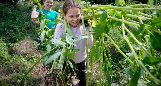 Beim Projekt Firdays for Nature halfen die Jugendlichen tatkräftig mit, Schutzgebiete von invasiven Neophyten zu befreien. (Foto: Oliver Oppitz)