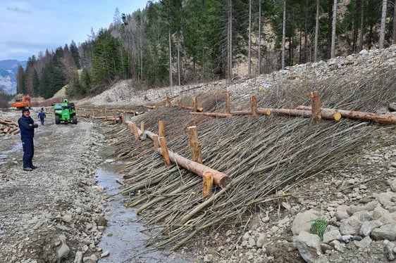 Das Landesamt für Wildbach- und Lawinenverbauung Ost setzt die Arbeiten nach der Methode der Ingenieurbiologie fort, bei der Pflanzen als Erosionsschutz eingesetzt werden; im Bild Vorarbeiter Heinz Baumgartner an der Gader in der Fraktion Pederoa in Wengen. (Foto: LPA/Landesamt für Wildbach- und Lawinenverbauung Ost)