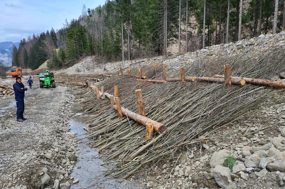 L'Ufficio provinciale bacini montani Est lavora sfruttando il metodo della biologia ingegneristica, che prevede l'utilizzo di piante come protezione dall'erosione; nella foto, il caposquadra Heinz Baumgartner. (Foto: ASP/Ufficio bacini montani Est)