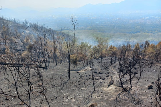 An den Hängen des Vesuvs wütete ein Großbrand. Der nationale Zivilschutz in Rom fragte um Unterstützung bei der Brandbekämpfung auch aus Südtirol an. (Foto: LPA/Berufsfeuerwehr Bozen)