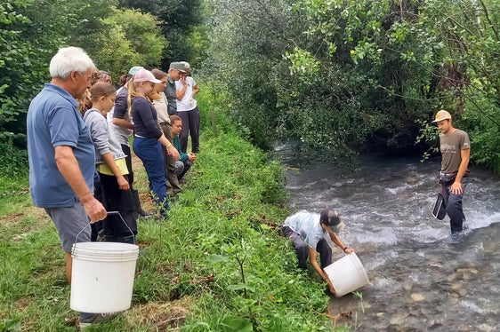 Am Sackbach, einem Altarm der Etsch, wurden unter der Leitung von Simon Schwienbacher kurzzeitig die Mühlkoppe und die marmorierte Forelle sowie Insektenlarven entnommen, begutachtet und deren Lebensweise erklärt, bevor sie wieder ihrem Lebensraum zurückgegeben wurden. (Foto: LPA/Umweltschutzgruppe Vinschgau/Ingrid Karlegger)