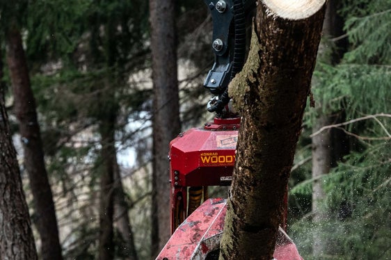 Il 1° giugno sarà il Click Day per le domande di contributo nel settore forestale e del legno. I fondi, 10 milioni di euro di contributi in conto capitale, saranno assegnati in ordine cronologico (Foto: ASP/Ivo Corrà)