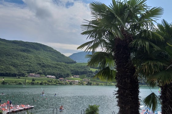 La foto è stata scattata lunedì 26 luglio al Lago di Caldaro (Foto: ASP/Maja Clara)
