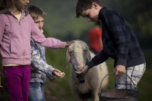 L'agricoltura sociale avvicina la vita in fattoria anche ai bambini. Una Consulta supervisiona l'aggiornamento e la formazione degli operatori, ma lavora anche su nuovi concetti. (Foto: Associazione delle donne coltivatrici sudtirolesi)